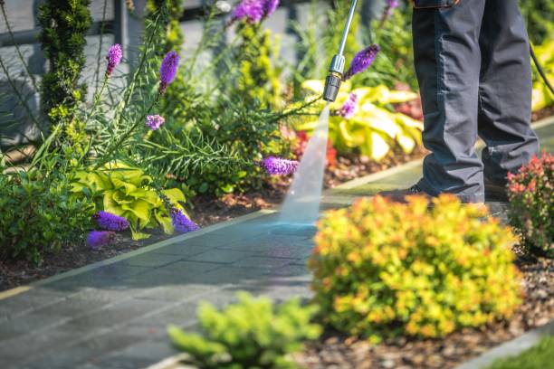 Best Boat and Dock Cleaning  in Shelton, NE